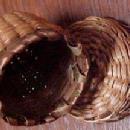 Sweet Grass Native American Made Thimble Case - Textiles