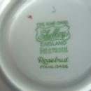 Shelley Porcelain Pottery ROSEBUD Cup and Saucer - Vintage Porcelain