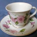 Morning Glory Cup and Saucer - Vintage Pottery porcelain