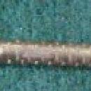 CHARLES KEENE Chantelaine Pencil - Textiles