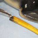 SCOTTIE DOG Porcelain Pin Dish and Bakelite Handled Shoe Horn Holder