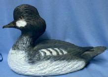 Hand Carved Wood DUCK Decoy ~ Artist Signed, GOLDEN EYE Duck Decoy HUNTING