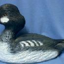 Hand Carved Wood DUCK Decoy ~ Artist Signed, GOLDEN EYE Duck Decoy HUNTING