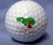 old BUSHWOOD COUNTRY CLUB - Spalding Top Flite XL Golf Balls - Mint in Box sporting