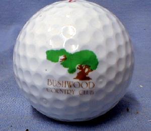 BUSHWOOD COUNTRY CLUB - Spalding Top Flite XL Golf Balls - Mint in Box sporting