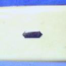Elgin Cigarette Case - Cream Color Enamel DECO Case -Antique Vintage metalware