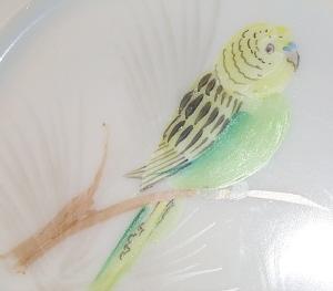 Attractive WESTMORELAND Opaque Glass Hand Painted Green/Yellow Parakeet Decorative Plate