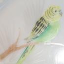 Attractive WESTMORELAND Opaque Glass Hand Painted Green/Yellow Parakeet Decorative Plate