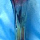 Carnival glass Fenton Amethyst MORNING GLORY Carnival Glass