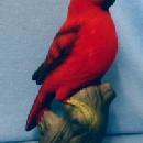 old vintage Cardinal Bird Figurine - Norleans 1960's Collectible