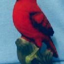 old vintage Cardinal Bird Figurine - Norleans 1960's Collectible