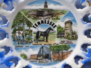 old Tennessee Walking HORSE * Leeffoot Lake * Vintage Souvenir Porcelain