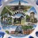 old Tennessee Walking HORSE * Leeffoot Lake * Vintage Souvenir Porcelain