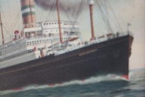 Ocean Liner S.S. NIEUW AMSTERDAM Framed Print - Misc.