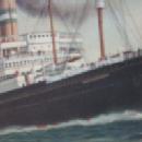 Ocean Liner S.S. NIEUW AMSTERDAM Framed Print - Misc.