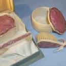 One Baby's CELLULOID Grooming Set in Original Box - Misc.