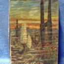 old original US INT REVENUE Stamp Intact Playing Cards - Vintage Desert Scene paper