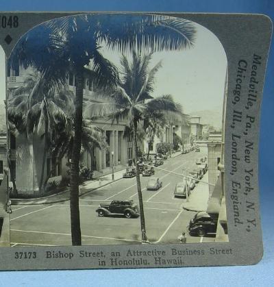 Photography Bishop Street in Honolulu and Hawiian Pineapple