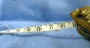 Celluloid SHIP Tape Measure - Figural Sailing SHIP with Dolpin Head - Misc