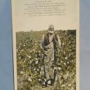 Black Americana OLD BLACK JOE Postcard - Ethnographic