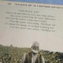 Black Americana OLD BLACK JOE Postcard - Ethnographic