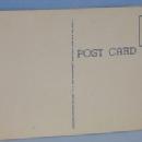 Black Americana POSTCARD - Two of a Kind - Ethnographic