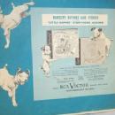 RCA Victor LITTLE BLACK SAMBO Story Book with Records - Ethnographic