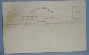 Black Americana POSTCARD - Tempting The Gators - Ethnographic
