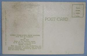 Black Americana POSTCARD - Honey, Come Down - Ethnographic