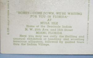 Black Americana POSTCARD - Honey, Come Down - Ethnographic
