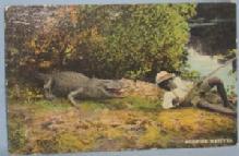 Black Americana POSTCARD - Florida Natives - Ethnographic
