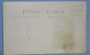 Black Americana POSTCARD - Florida Natives - Ethnographic