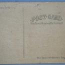 Black Americana POSTCARD - Picking Cotton - Ethnographic
