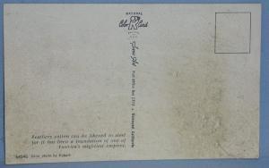 Black Americana POSTCARD - Cotton Picking In The South - Ethnographic