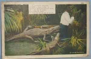 Black Americana POSTCARD - A Darky's Prayer - Ethnographic