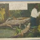 Black Americana POSTCARD - A Darky's Prayer - Ethnographic