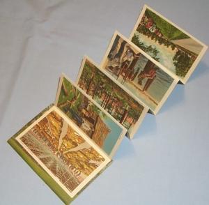 Black Americana Folding POSTCARD - Greetings from Dixieland, Memphis, Tenn - Ethnographic