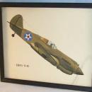 Army Air Corps CURTIS P-40 Fighter Plance Framed Drawing - Military