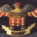 US Army WWI Military IN SERVICE SON -WWI Enameled Casein Catalin or Bakelite - American Flag Figural Eagle Estate Jewelry