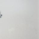 Beautiful Hand Painted BIRD Design Porcelain Dresser Tray