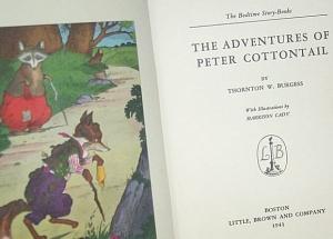 PETER COTTONTAIL Bedtime Story Book - Paper