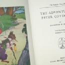 PETER COTTONTAIL Bedtime Story Book - Paper
