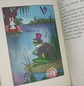 PETER COTTONTAIL Bedtime Story Book - Paper