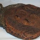 Victorian ALLIGATOR PURSE with Brass Hardware and Chain Handle - Misc.
