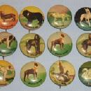 Twelve Dog and Bird Metal Pin Back Buttons - Metalware