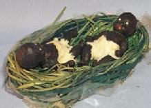 Ethnographic Two Bisque Black Babies in a Green Weaved Basket - Dolls