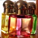 Traveler's Perfume Leather Set - Glass