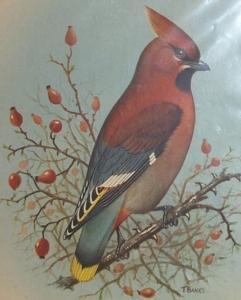 Union-Castle Line R.M.S. PRETORIA CASTLE Waxwing Decorated 1960 First Class Dinner Menu - Paper