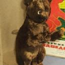 Russian Mechanical Brown Dancing Bear with Original Box - Russian Toy.