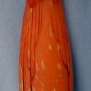 Le Verre Francais Cameo Art Glass Vase